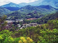 the mountains are covered with trees and buildings in the foreground, surrounded by greenery