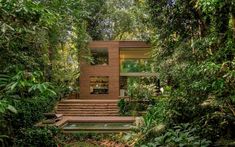 the house is surrounded by trees and greenery, with stairs leading up to it