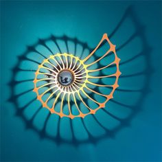 an overhead view of a circular light fixture on a blue wall with shadows from the ceiling