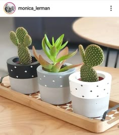 three potted plants sitting on top of a wooden tray