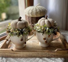 two white coffee cups with pumpkins and greenery in them sitting on a tray