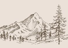 hand drawn mountain landscape with pine trees