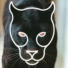 an image of a black cat with red eyes