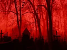 a cemetery in the middle of a red foggy forest with tombstones and trees