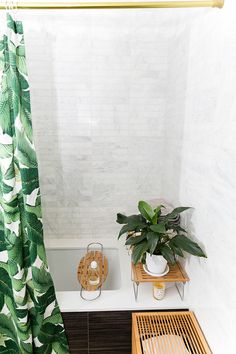 a bathroom with a toilet, plant and bathtub in the shower stall next to it