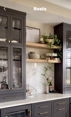 a kitchen with gray cabinets and white counter tops, plants in the cupboards on shelves