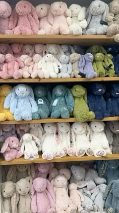 many different colored stuffed animals are on shelves