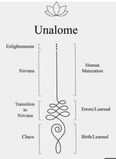 the anatomy of an unlabme, with its name and description in black on a white background