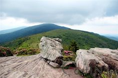 rocks and boulders on top of a mountain with flowers in the foreground, surrounded by greenery