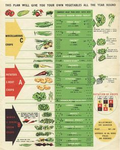 an old poster shows the different types of vegetables and how they are used to grow them