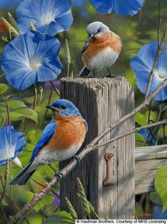 two birds sitting on top of a wooden post next to blue petunia flowers