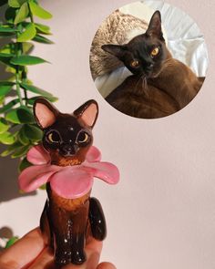 a cat figurine being held in front of a photo