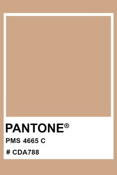 Pantone Matching System, Pantone Colours, Warm Colour Palette, Color Chip