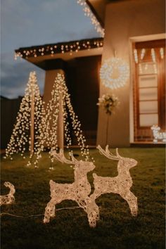 Christmas Decor Trends, Hanging Christmas Lights, Pre Lit Christmas Tree, Christmas Decoration Ideas, Christmas Lighting, Nature Play, Play Space, Decorating With Christmas Lights, Christmas Trends