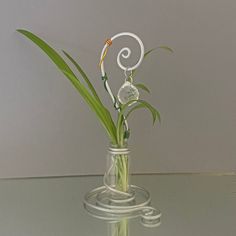 a glass vase with some flowers in it