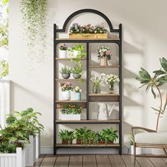 a room filled with lots of potted plants on top of shelves next to a chair