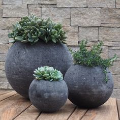 three cement pots with plants in them on a wooden table