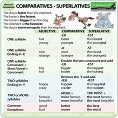 thesauruss are used to describe different types of words in english and spanish, with pictures