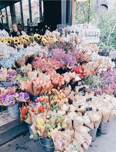 a bunch of flowers that are in buckets