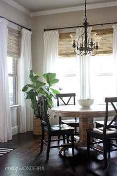 a dining room table with chairs and a potted plant in the middle of it