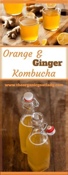 orange and ginger kombucha is an easy recipe