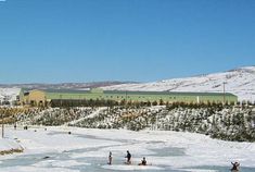 people are skating on the ice in front of a large building and snowy hills behind them