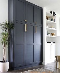 an image of a living room with dark blue cabinets