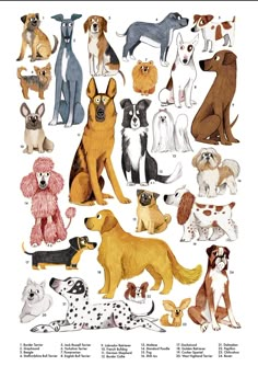 an illustrated poster with dogs in different colors and sizes, including brown, black, white, and tan