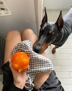 a woman holding an orange in front of her dog