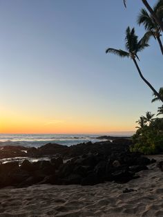 the sun is setting over the ocean with palm trees on the shore and rocks in the foreground