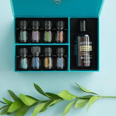 Wild Orange Essential Oil, Tea Tree Essential Oil, Fractionated Coconut Oil, Peppermint Essential Oil