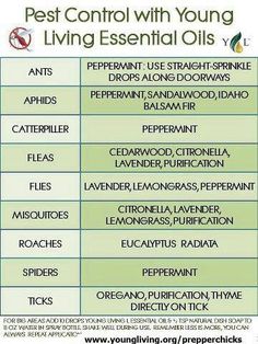 These are great for pets! Young Living has some of the best, purest,quality oils on the market. Animals don't necessarily care for scents but, they love the results.  www.youngliving.org/patherwaldt Citronella Incense, Citronella Plant, Citronella Oil, Natural Pest Control, Living Essentials Oils, Outdoor Candles, Living Essentials