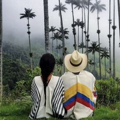 two people sitting on the grass in front of palm trees looking out at the mountains