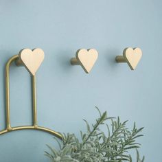 three heart shaped hooks hang on the wall next to a potted plant and pine tree