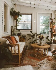 a living room filled with furniture and lots of plants