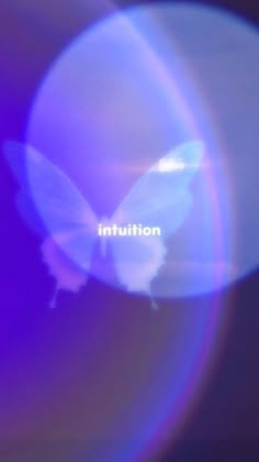 an image of a butterfly with the word institution on it's back side in front of a blue and purple background