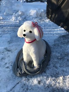 a white stuffed dog sitting on top of a rope in the middle of some snow