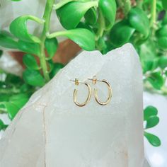 14K Gold Oval Hoops 1609 Design Gold Collection, Gold Hoops, Gold, Design