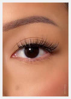 Wispy Eyelashes, Short Lashes, Lashes Natural, 1 Dollar, Natural Eyelashes, Lash Glue, Fake Eyelashes, Mink Eyelashes, False Lashes