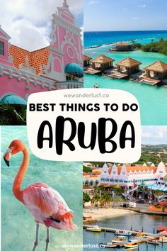 the best things to do in aruba, an island with pink buildings and flamingos