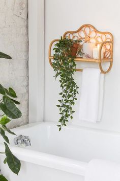 there is a plant hanging over the bathtub