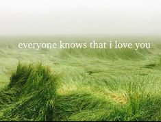 a field with grass and the words everyone knows that i love you