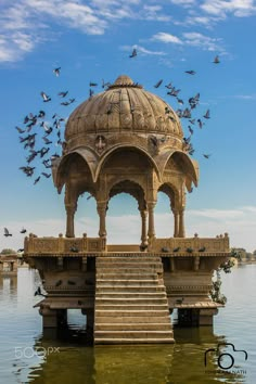 birds are flying around the gazebo in the water