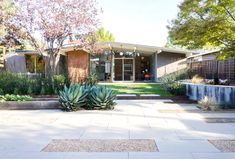 a modern home with landscaping in the foreground and an outdoor patio area on the other side