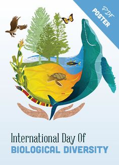 the international day of biological diversity poster