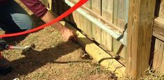 a person with a dog on a leash near a wooden fence and a red hose