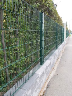 a green metal fence on the side of a road next to a tree and bushes