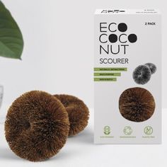 an eco - nut scourer is next to a box and a plant in a glass vase