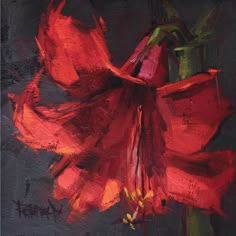 a painting of a red flower on a black background