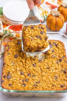 someone scooping oatmeal into a casserole dish with pumpkins in the background